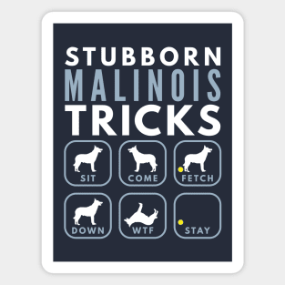 Stubborn Belgium Malinois Tricks - Dog Training Magnet